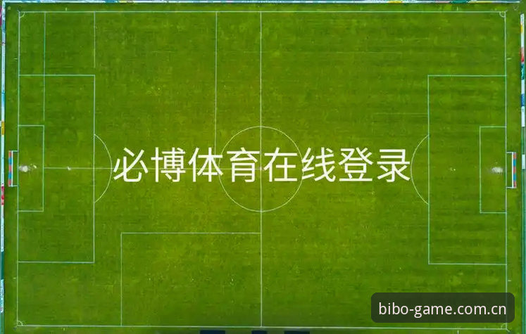 bibo必博体育深度用户揭秘：必博安全入口使用技巧全解析